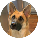 Trienet del Valle profile picture