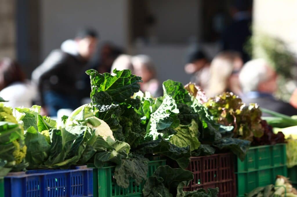Costa-Brava-Private-Tour-Local-products-Mercat-3-1024x682