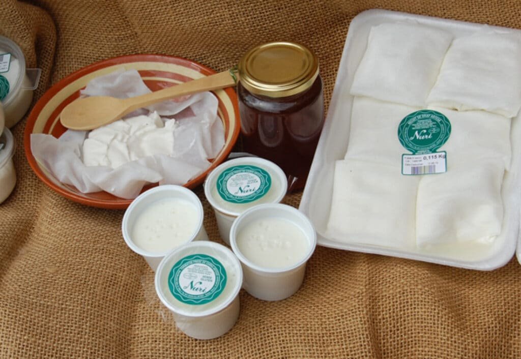 Costa-Brava-Private-Tour-Local-products-Recuit-1024x706