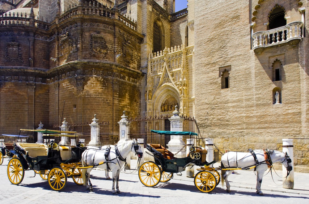 Private-Tour-Andalucia-Sevilla-Monumental-Tour-6