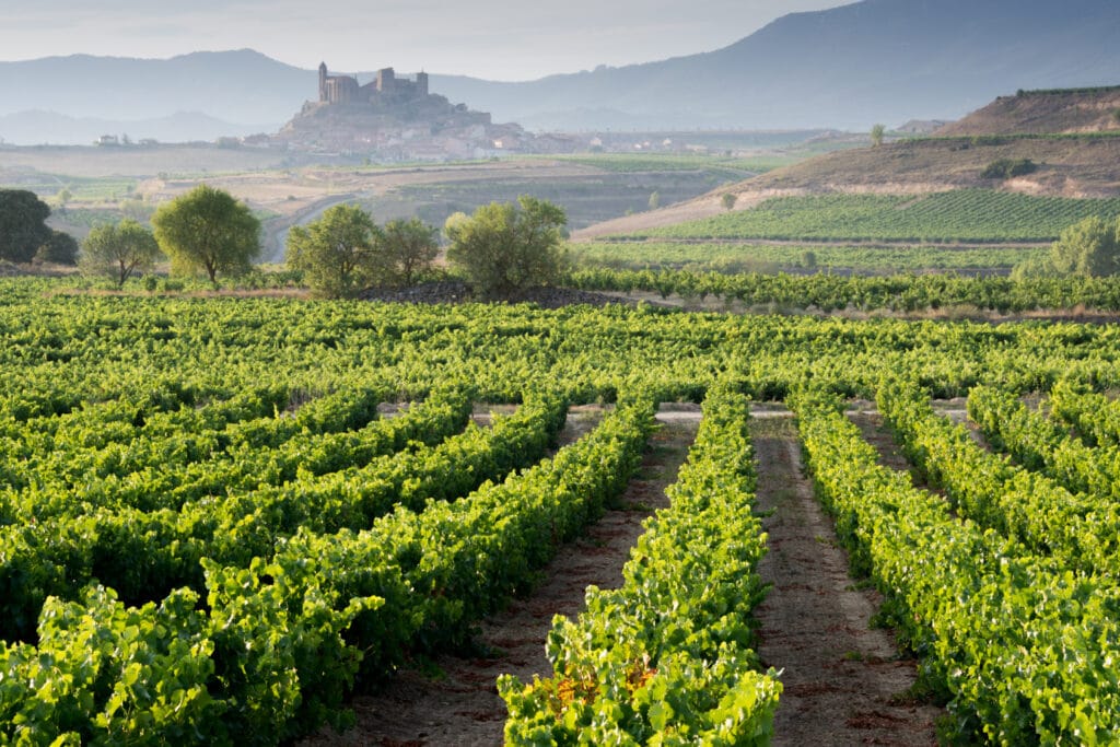 Vive la Vendimia en España con Experiencias de Lujo en Otoño